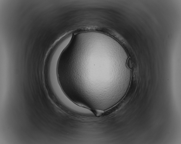 X0000084550722200703231736