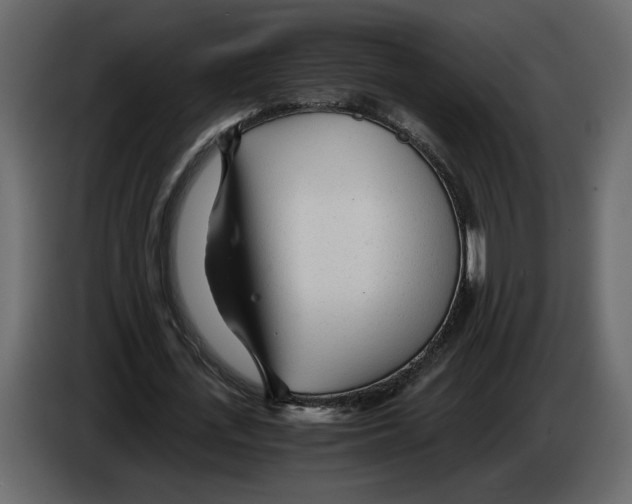 X0000084550723200703231736