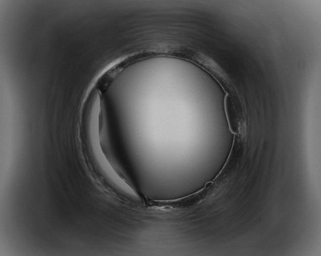 X0000084550724200703231736