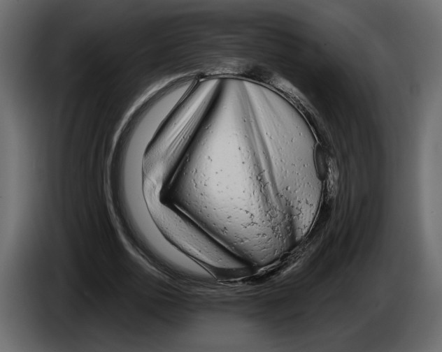 X0000084550726200703231736