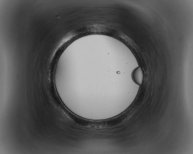 X0000084550727200703231736