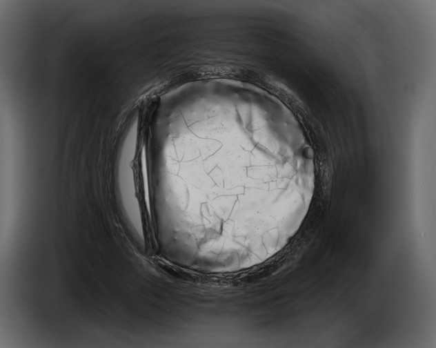 X0000084550729200703231736