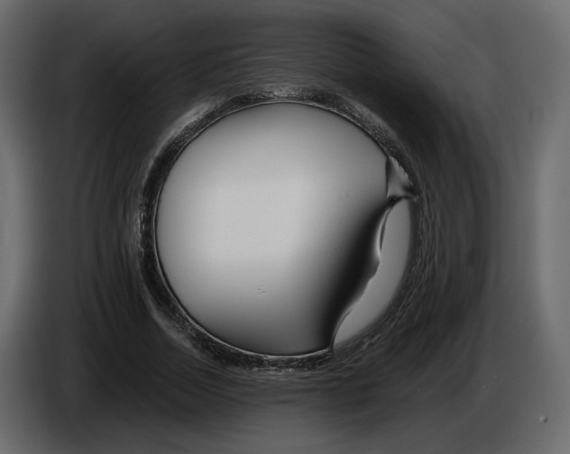 X0000084550730200703231736