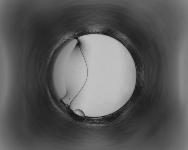 X0000084550734200703231736