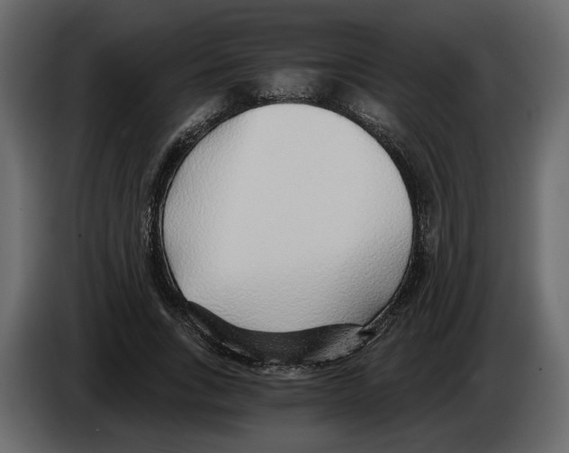 X0000084550735200703231736