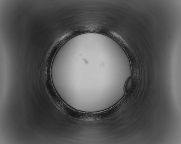 X0000084550736200703231736