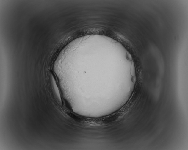 X0000084550737200703231736