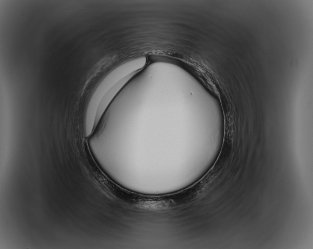 X0000084550738200703231736