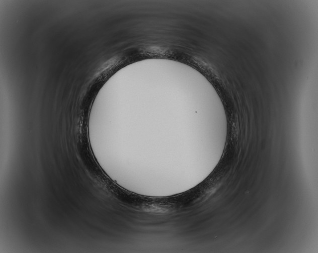 X0000084550739200703231736