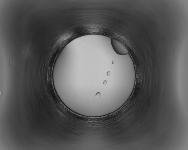 X0000084550740200703231736