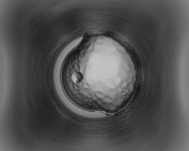 X0000084550742200703231736