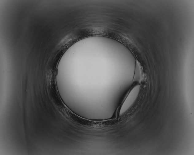 X0000084550744200703231736