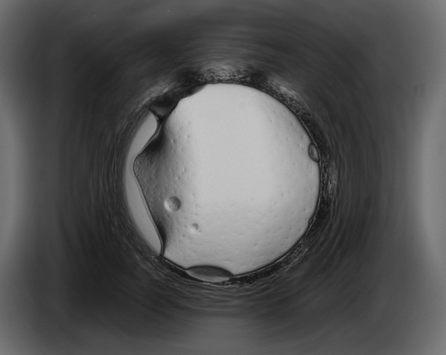 X0000084550746200703231736