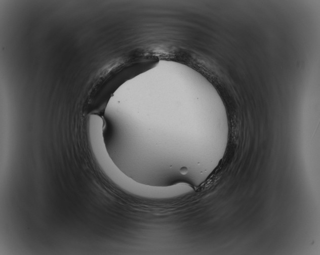 X0000084550748200703231736