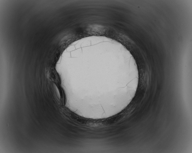 X0000084550749200703231736