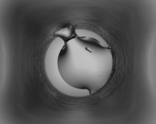 X0000084550750200703231736