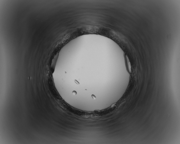 X0000084550752200703231736