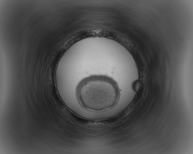 X0000084550754200703231736