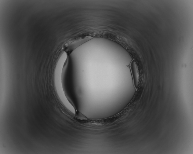 X0000084550756200703231736