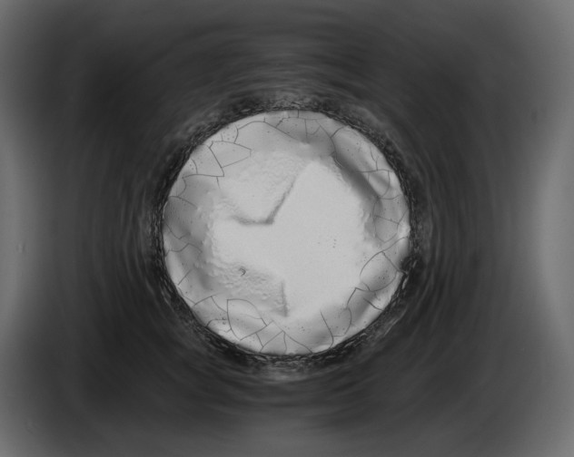 X0000084550757200703231736