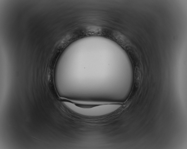 X0000084550758200703231736