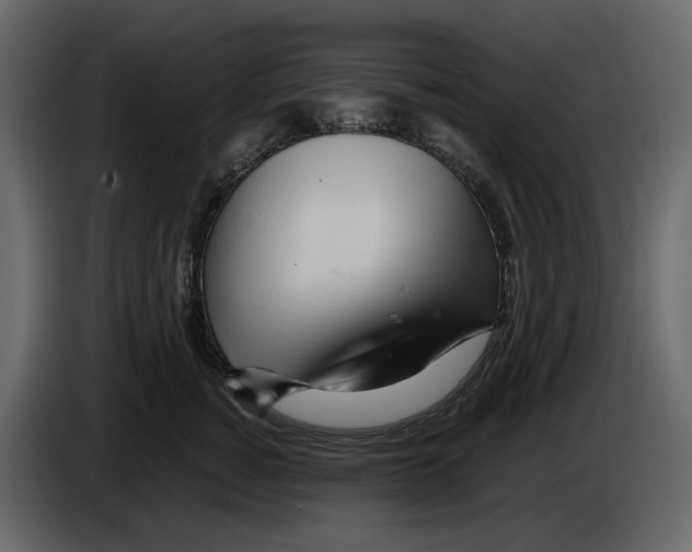 X0000084550760200703231736