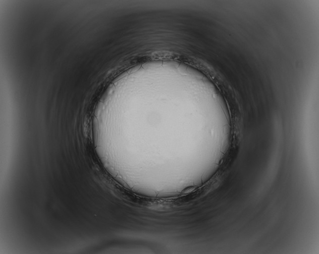 X0000084550761200703231736