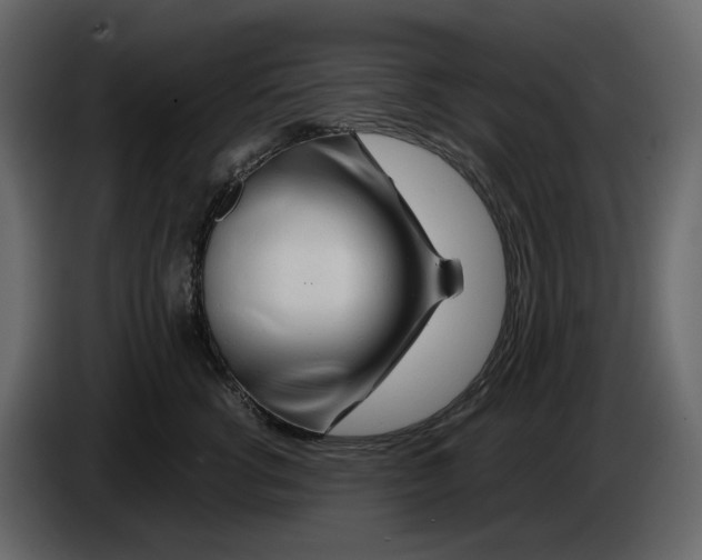 X0000084550762200703231736