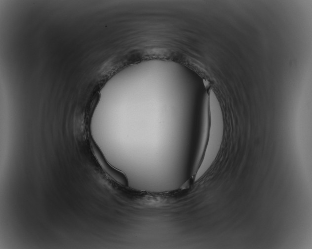 X0000084550764200703231736