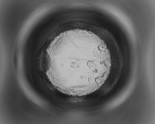 X0000084550765200703231736