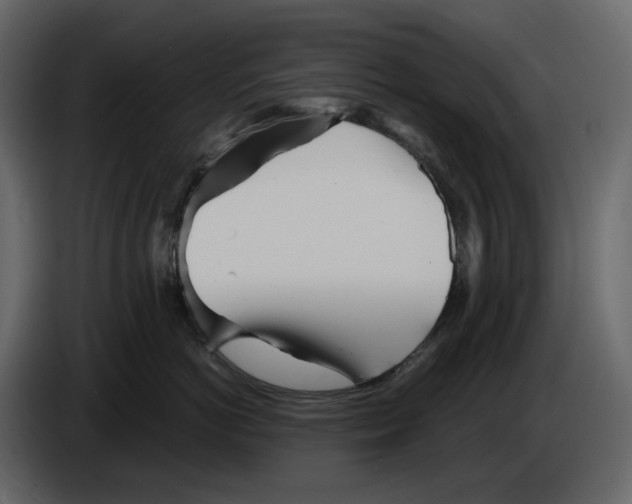 X0000084550766200703231736