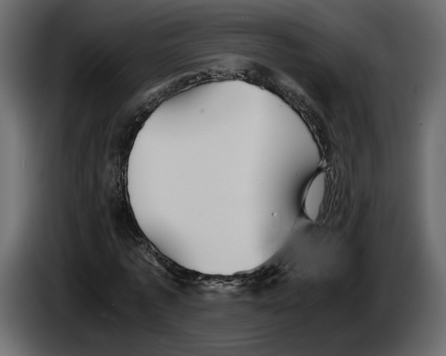 X0000084550773200703231735