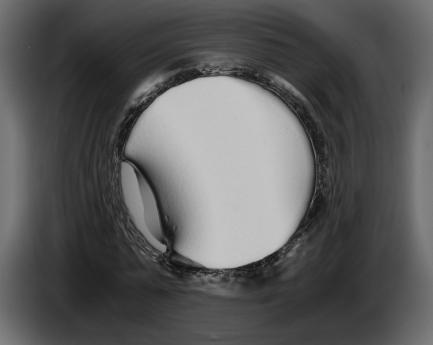 X0000084550775200703231735