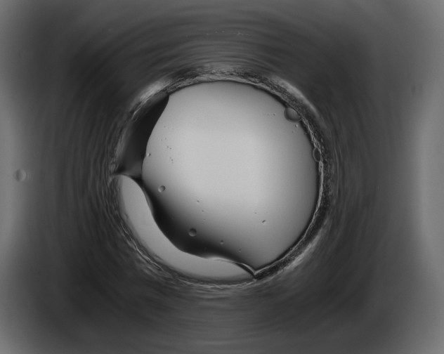 X0000084550777200703231735