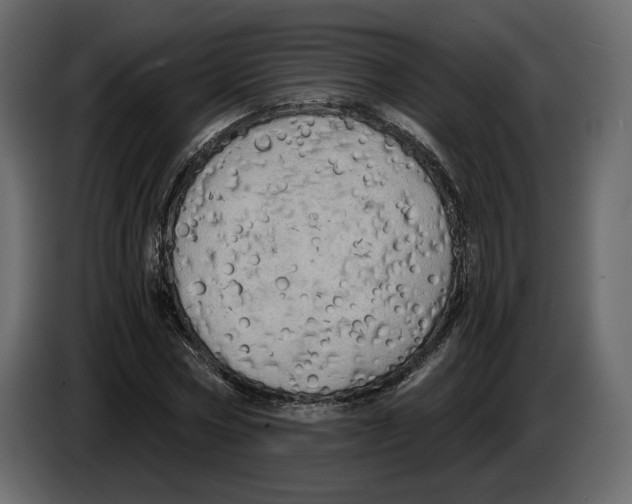 X0000084550778200703231735