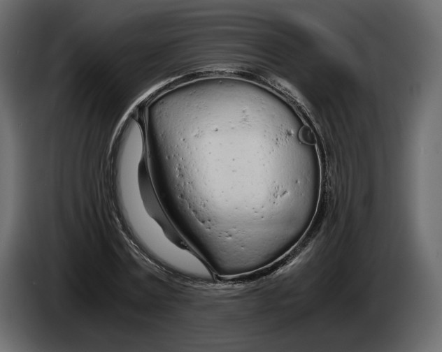 X0000084550779200703231735