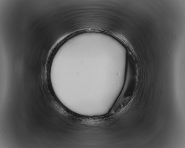 X0000084550780200703231735