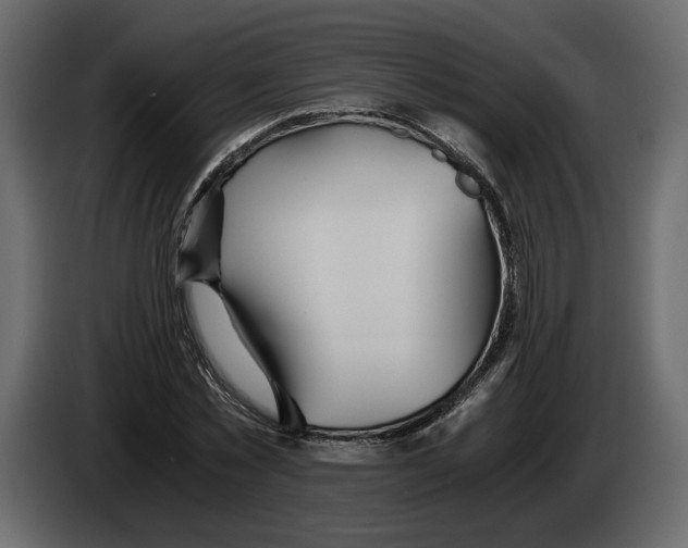 X0000084550781200703231735