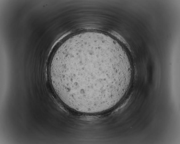 X0000084550782200703231735