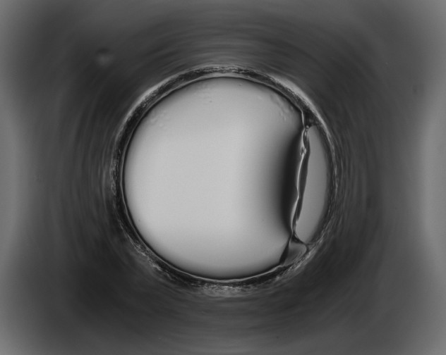 X0000084550783200703231735