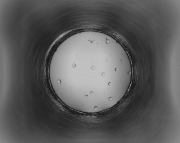 X0000084550784200703231735