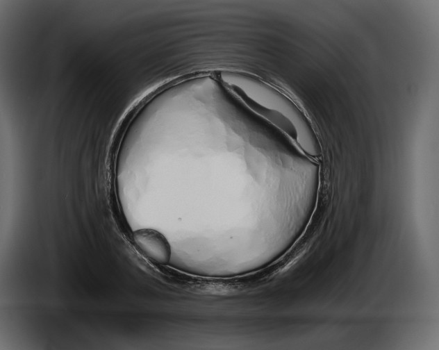 X0000084550787200703231735