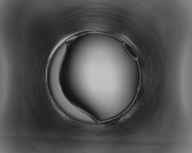 X0000084550788200703231735