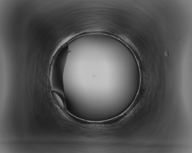 X0000084550789200703231735