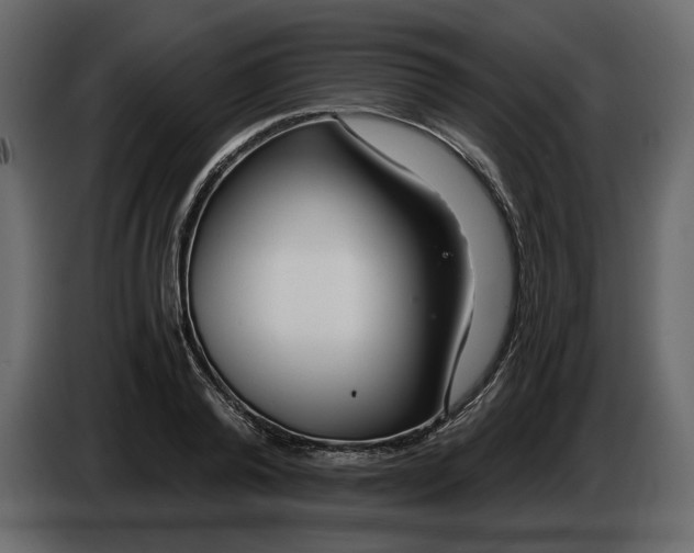 X0000084550792200703231735