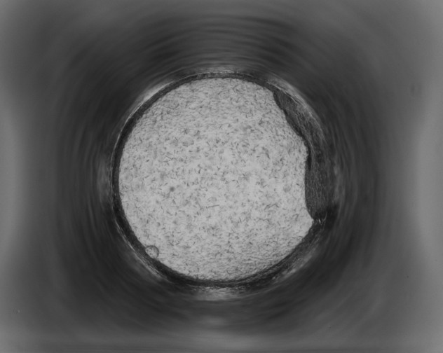 X0000084550794200703231735