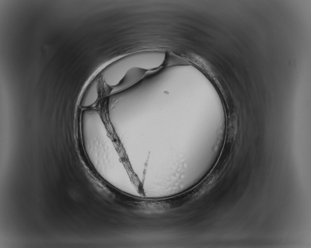 X0000084550795200703231735