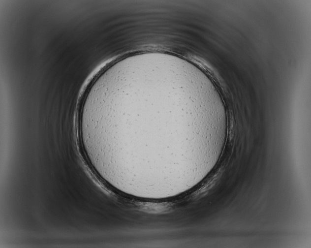 X0000084550796200703231735