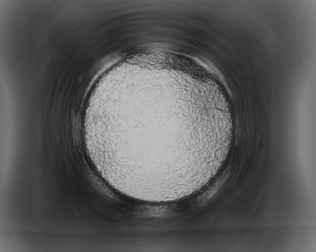 X0000084550798200703231735