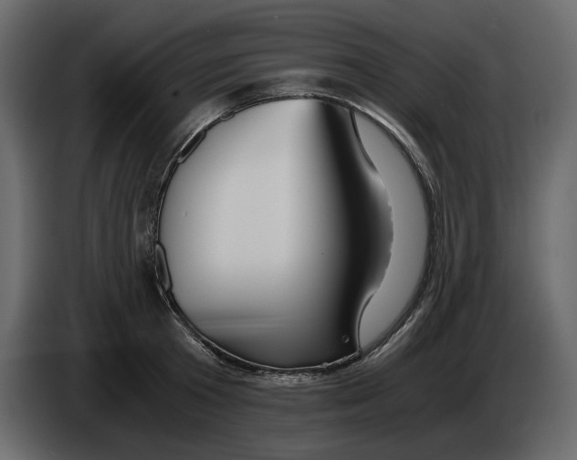 X0000084550801200703231735